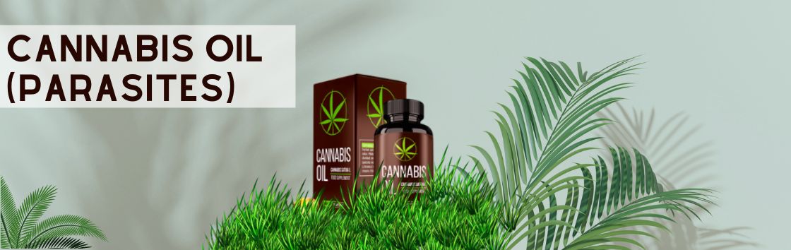 Cannabis Oil (paraziti) - Istražite mogućnosti: otkrijte različite mogućnosti korištenja ulja kanabisa za parazite.